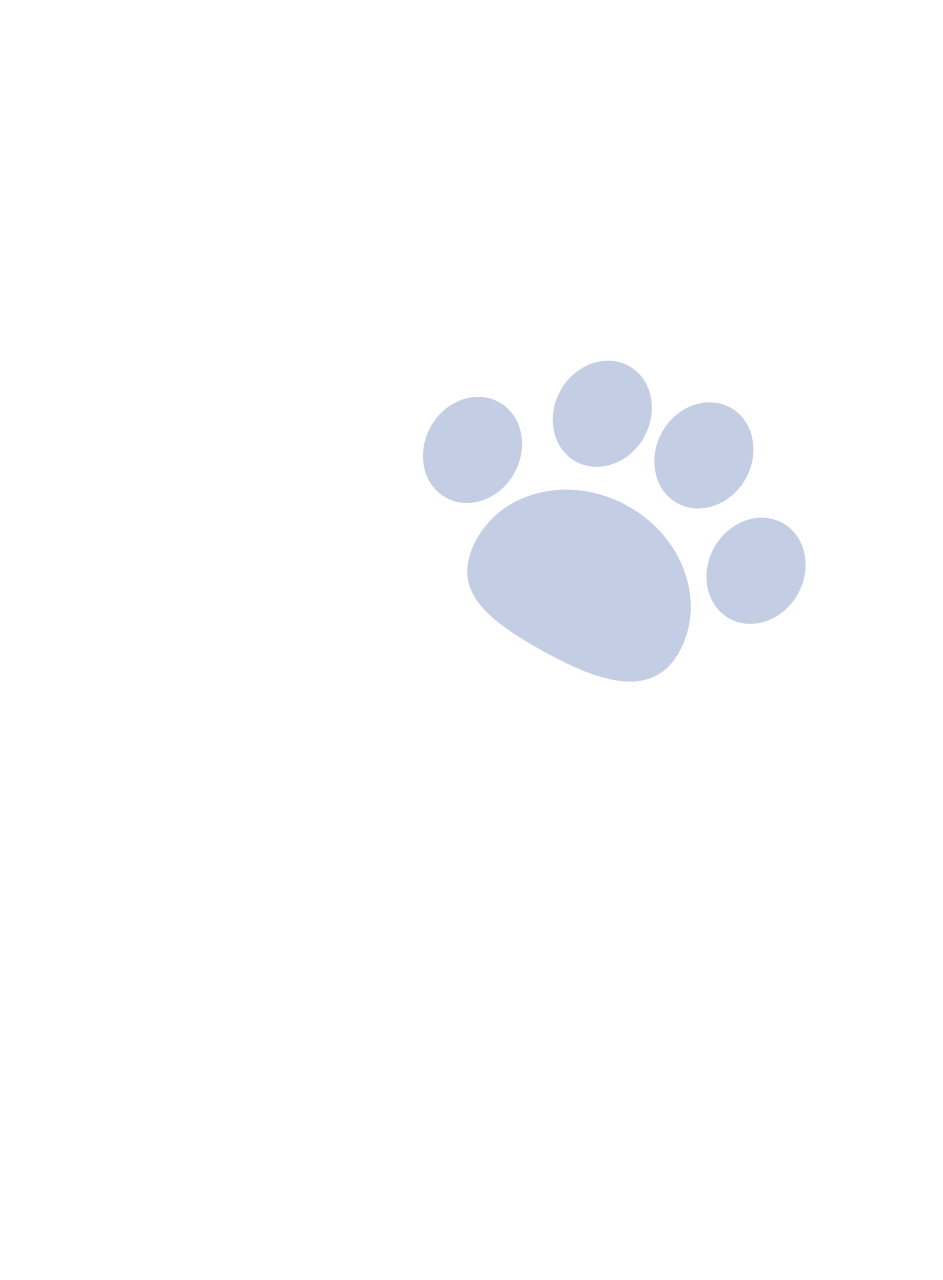 Fondo Huella Gris